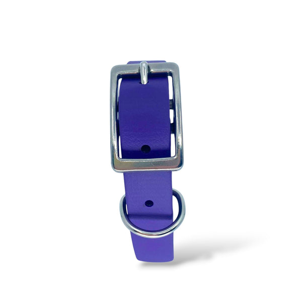 153 - Auction Item Purple Biothane Collar
