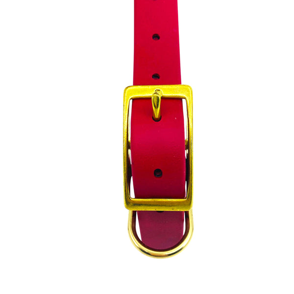 156- Auction Item Red Biothane Collar