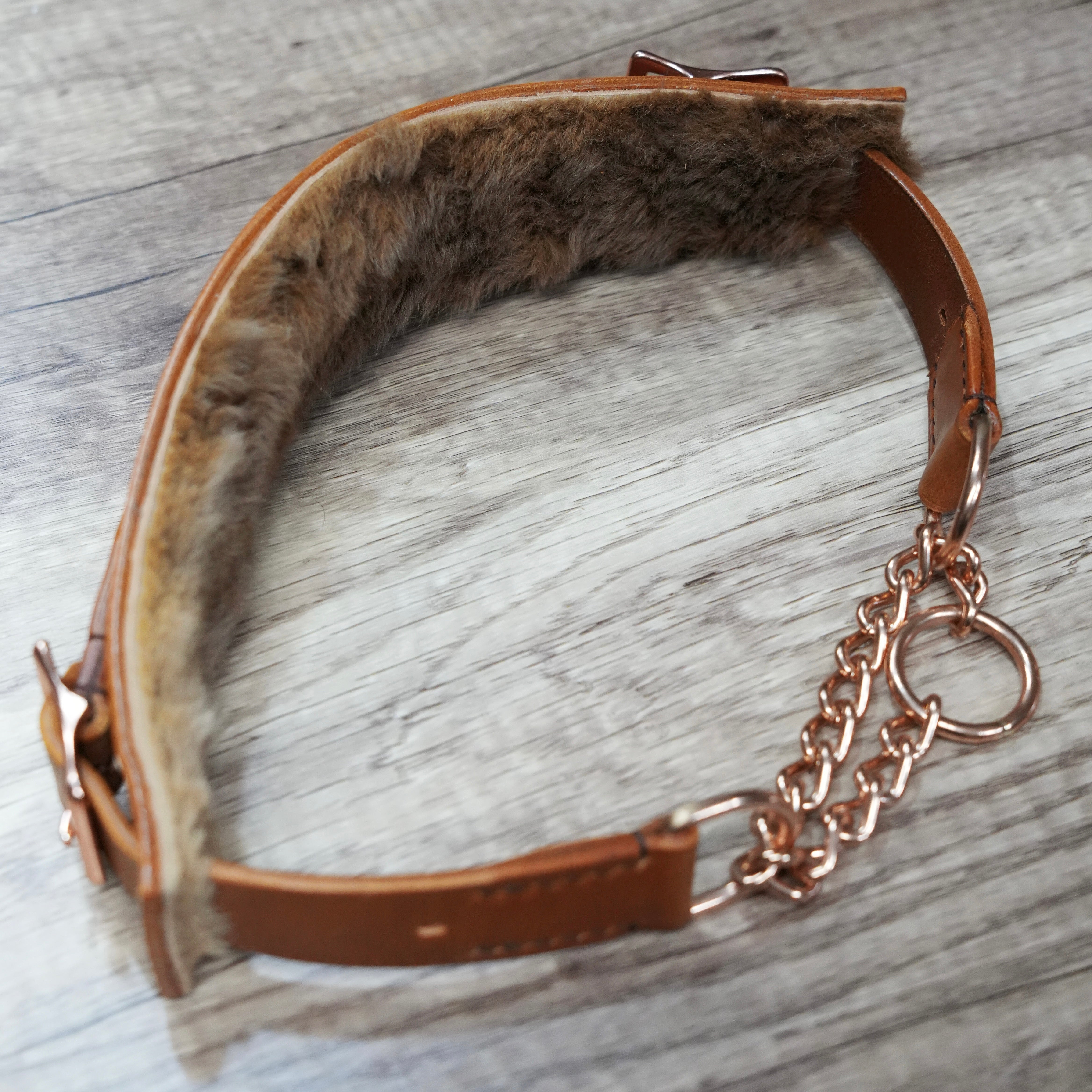 Kangaroo Fur collar with martingale attachment