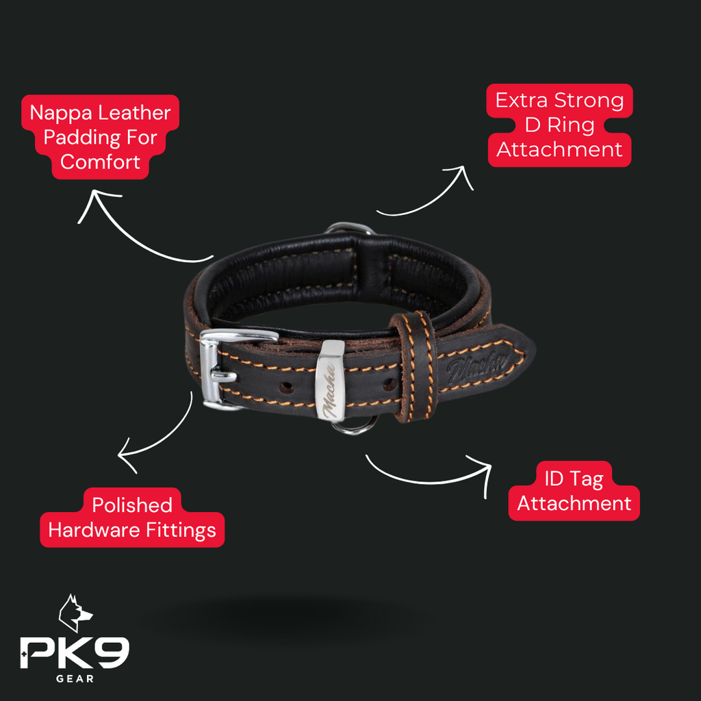 Features of our leather dog collar