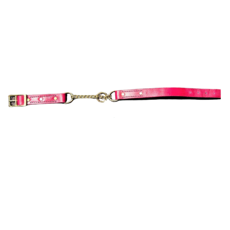 Red Red Wine - Leather Martingale Dog Collar