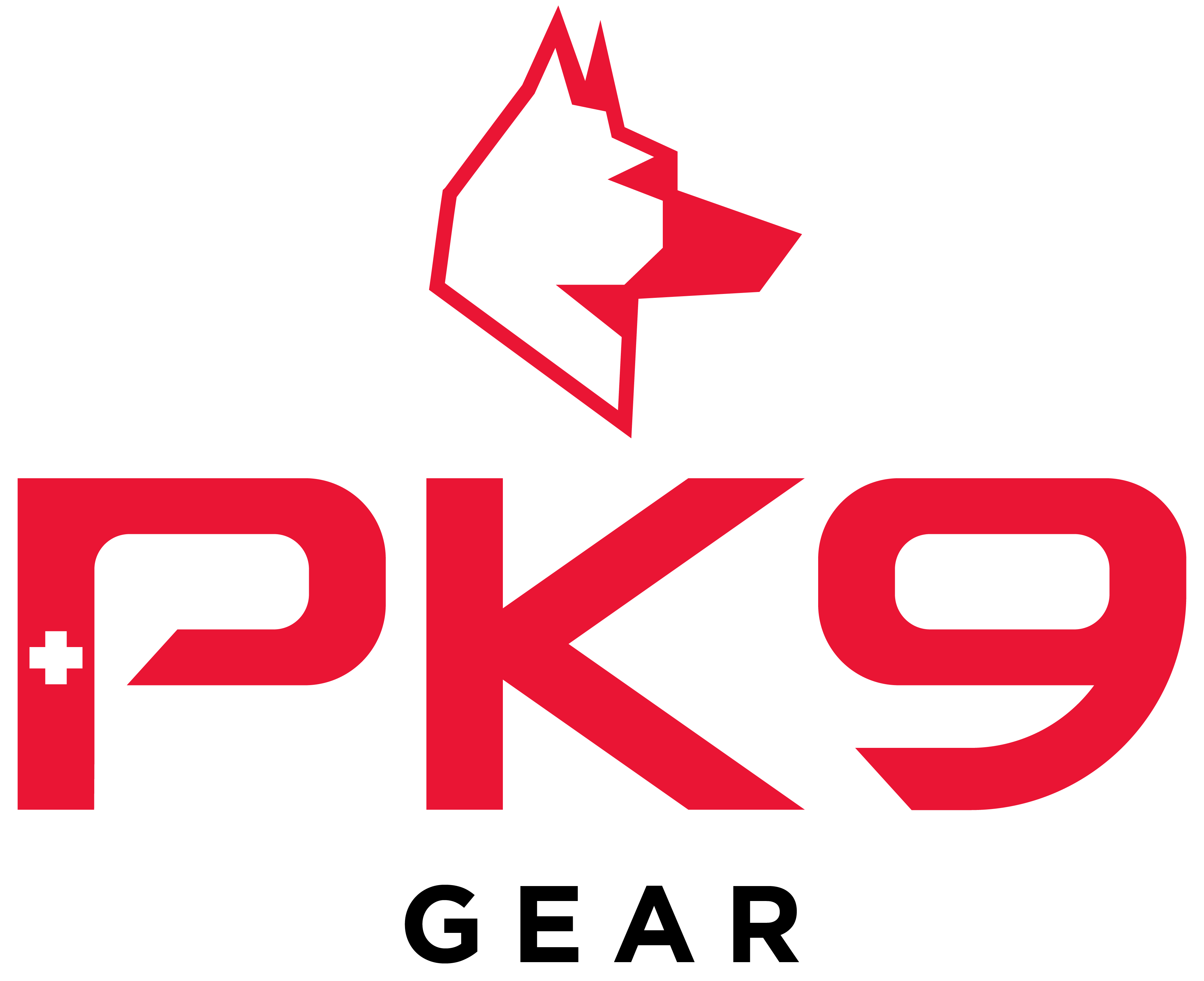 PK9 Gear logo