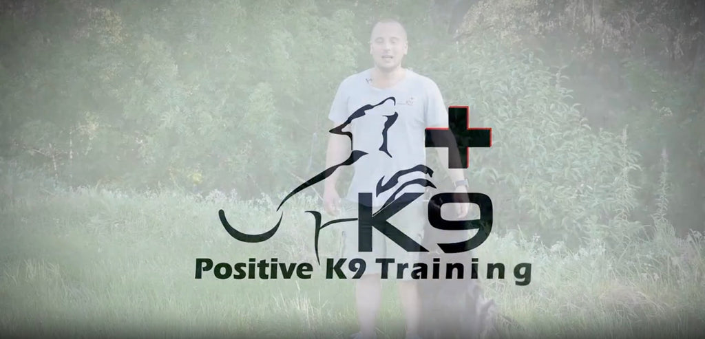 PK9_Positive_Training Vimeo Video