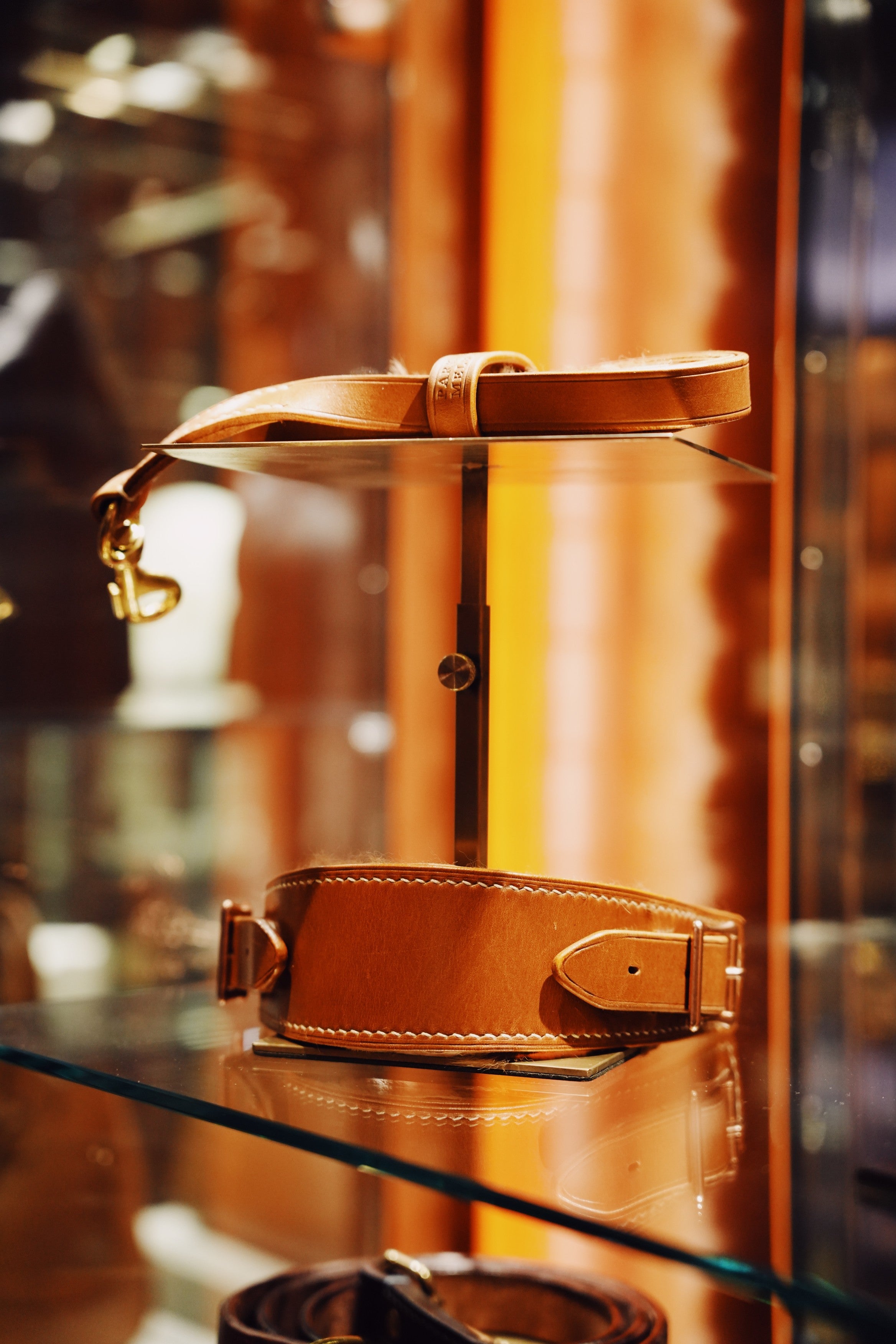 Brown leather dog collar displayed on a glass shelf with a blurred background