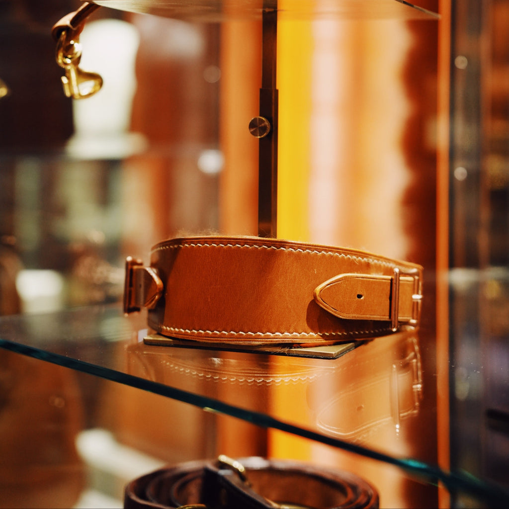Brown leather dog collar displayed on a glass shelf with a blurred background