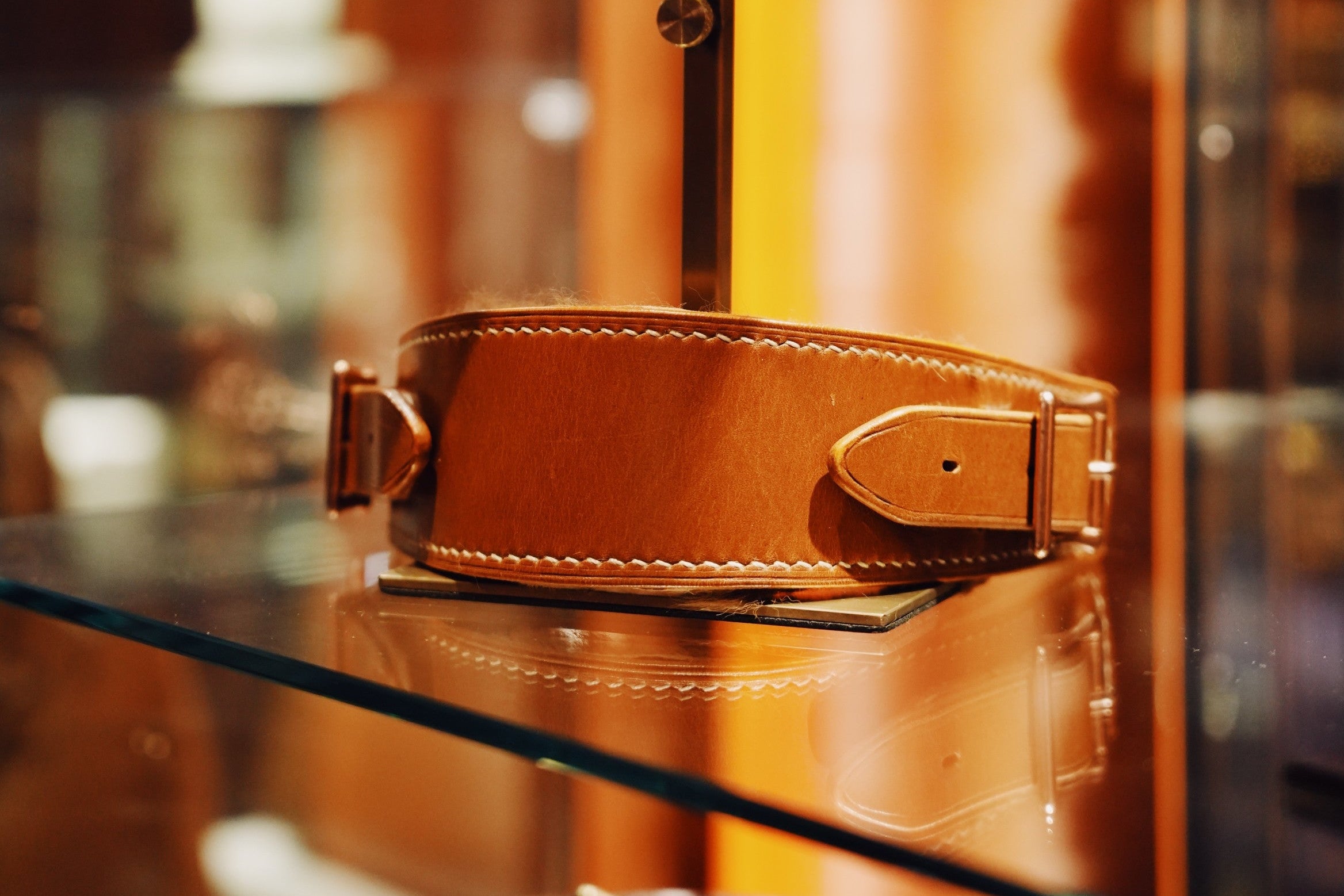 Presidential Dog Collar