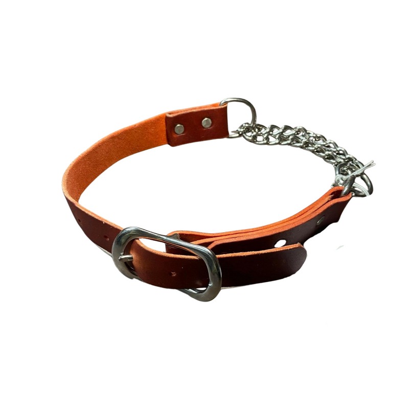 Red Heidy - Leather Martingale Dog Collar
