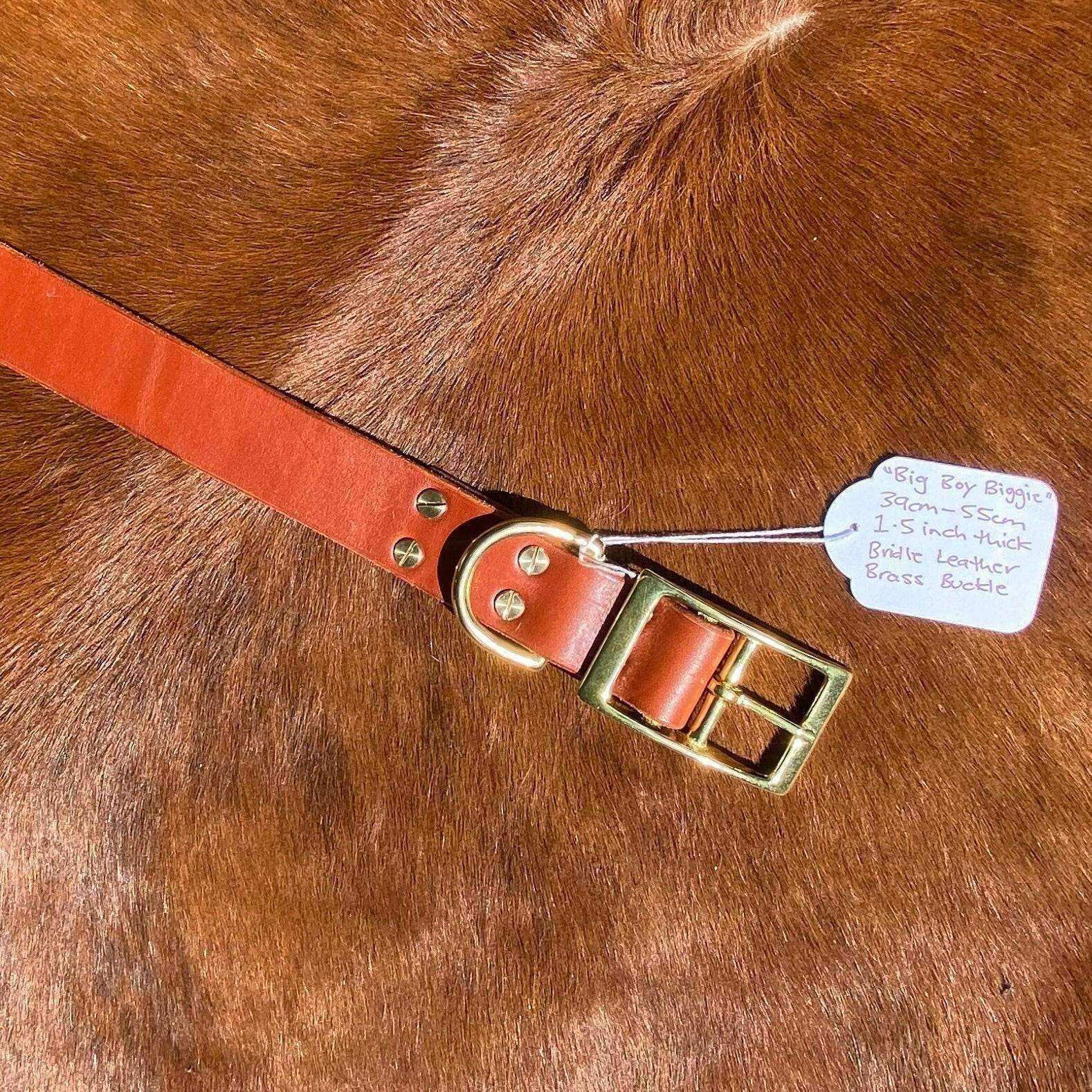 "Big Boy Biggie" - PK9 Gear