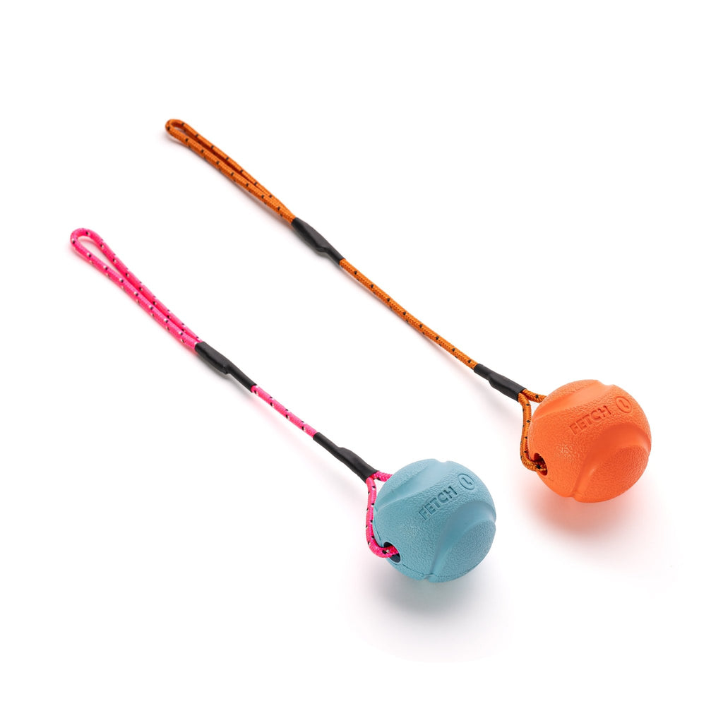 Chuckit Fetch Ball with Climbing Rope Handle For Little Dogs - PK9 Gear