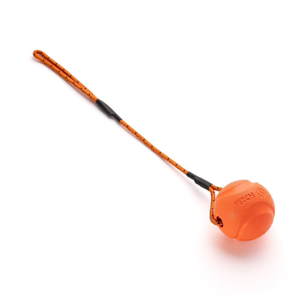 Chuckit Fetch Ball with Climbing Rope Handle For Little Dogs - PK9 Gear