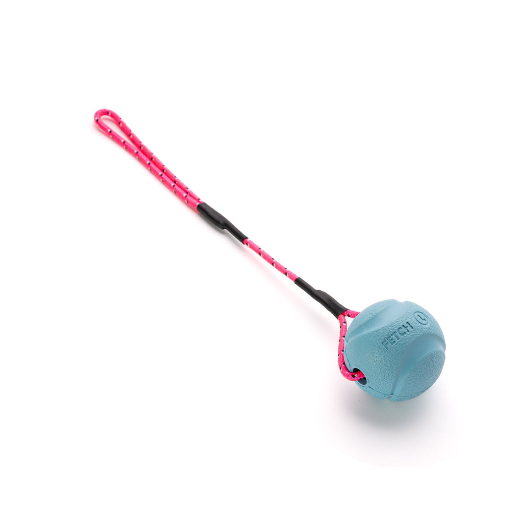 Chuckit Fetch Ball with Climbing Rope Handle For Little Dogs - PK9 Gear