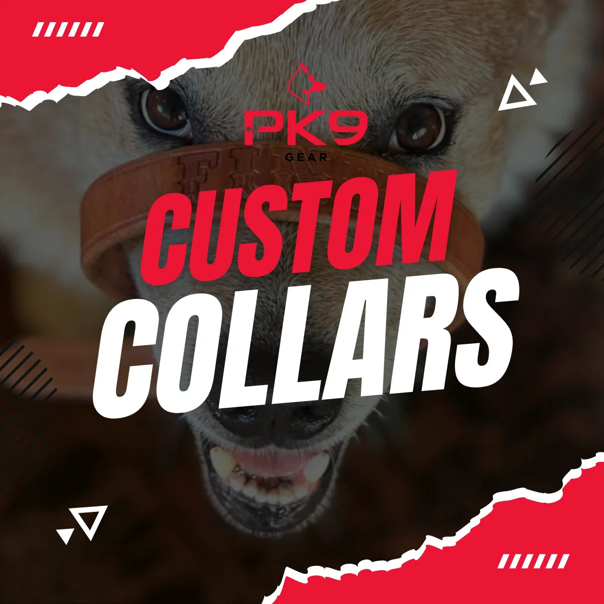 Custom Colles home right custom made dog collars for your dog s unique style