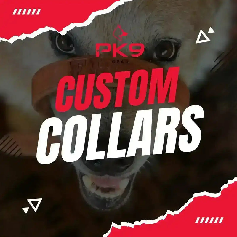 Custom Made Dog Collars –  For Your Dog’s Unique Style