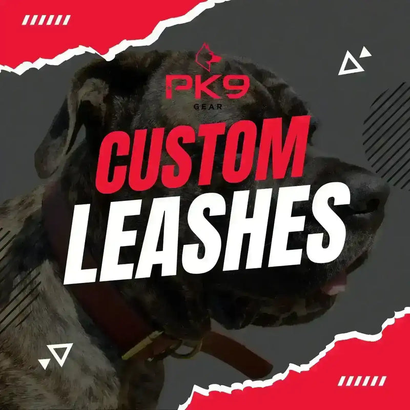 Custom Made Dog Leash –  For Your Dog’s Unique Style