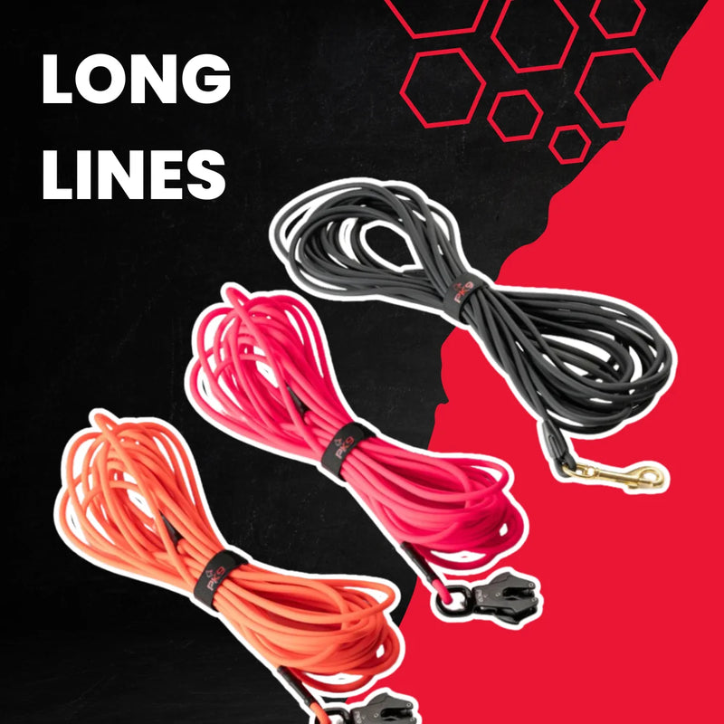 Dog Long Lines- Long Leashes For Dogs