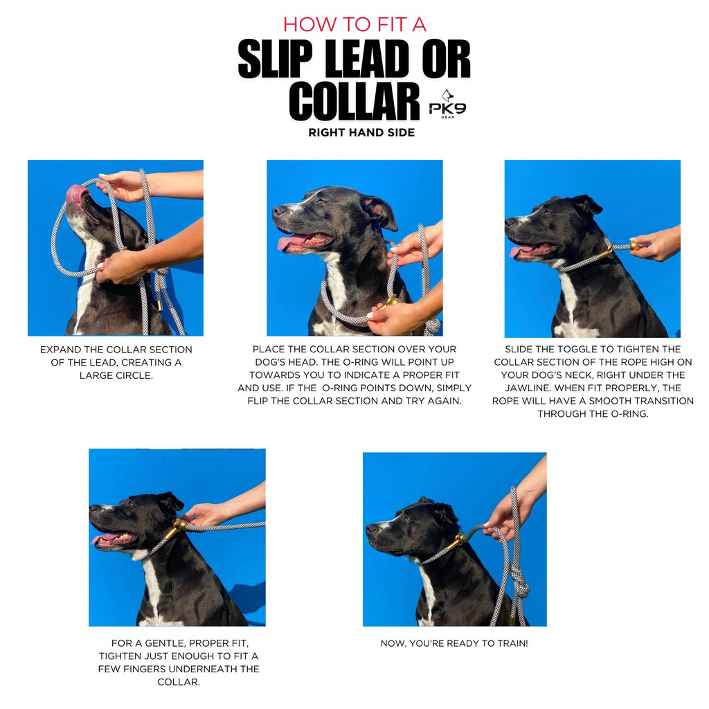 Dog Slip Collar - Crafted from 6mm Biothane - PK9 Gear