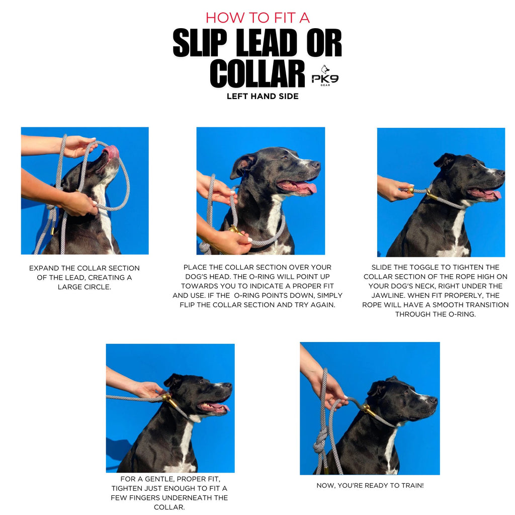 Dog Slip Collar For Training and Obedience | Australian Hand - Made - PK9 Gear