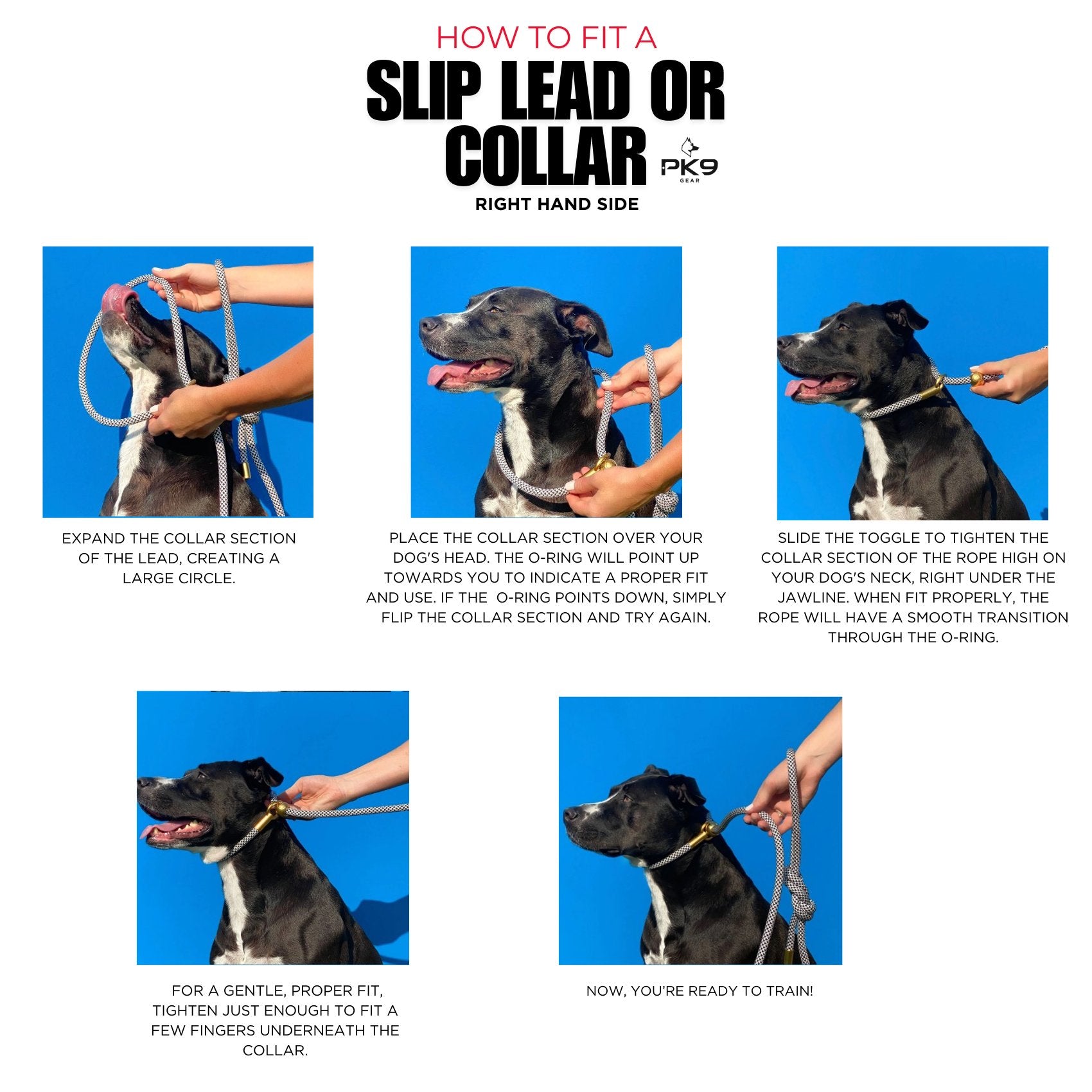 Training Collar Good To Go Dog Collar Easy Clip Web Training