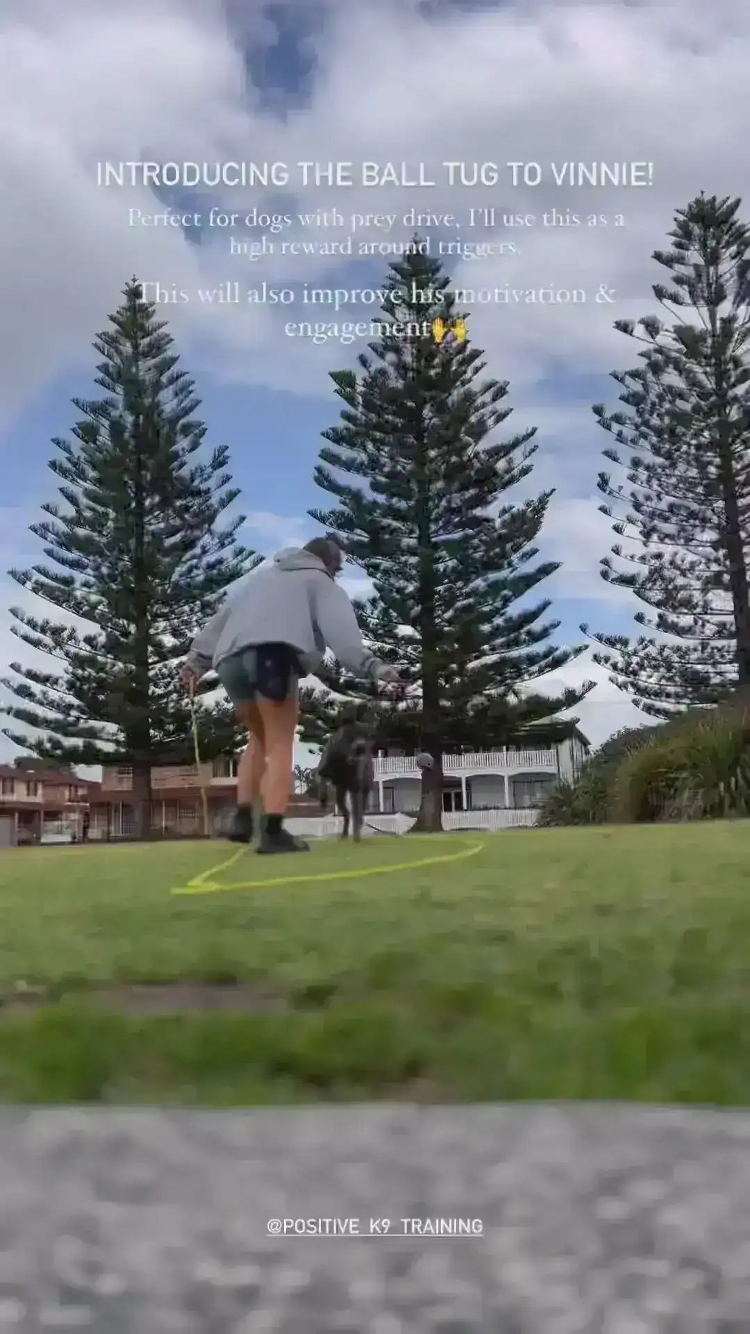 #tolstoy-video-preview-https%3A%2F%2Fcdn.shopify.com%2Fvideos%2Fc%2Fvp%2Ff5b46b034c5d414da98d4c16301e4e96%2Ff5b46b034c5d414da98d4c16301e4e96.HD-720p-1.6Mbps-35573998.mp4