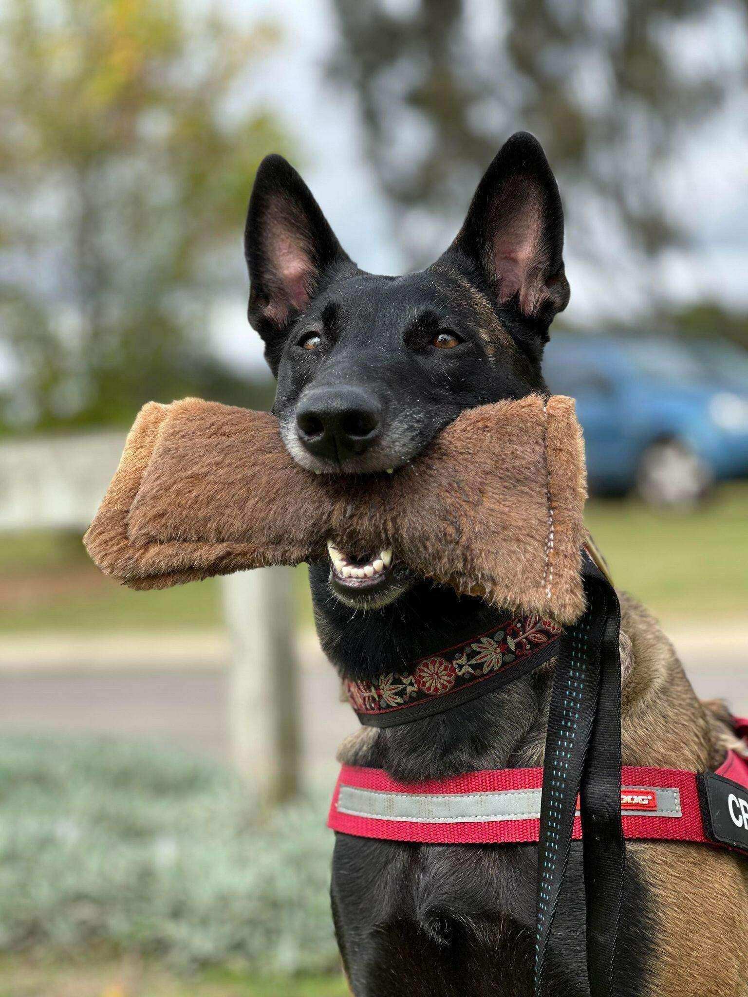 Fluffy Kangaroo Tug Toy - PK9 Gear