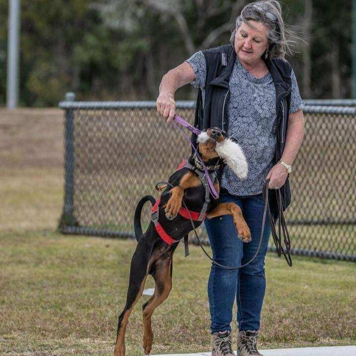 Fluffy Tugs - The Perfect Tug For Puppies And Agility Training - PK9 Gear