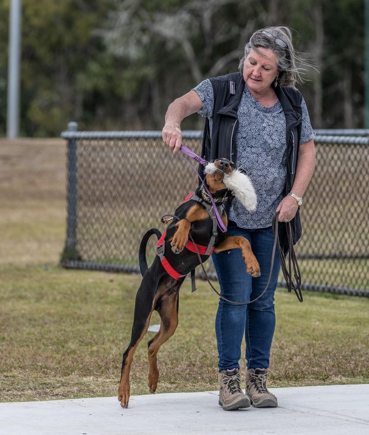 Fluffy Tugs - The Perfect Tug For Puppies And Agility Training - PK9 Gear