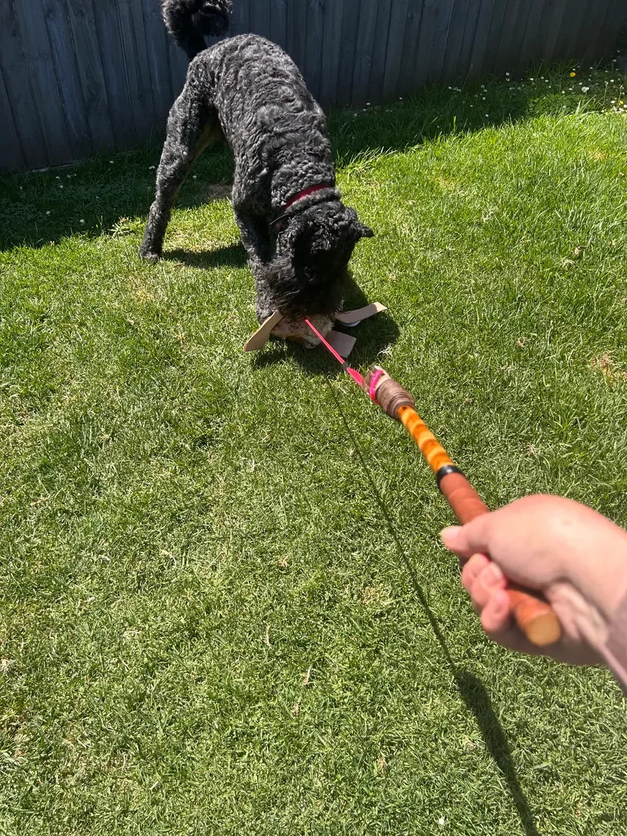 Dog chasing a PK9 flirt pole during training