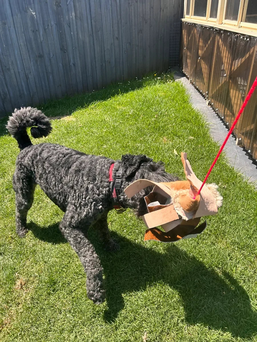 Dog chasing a PK9 flirt pole during training