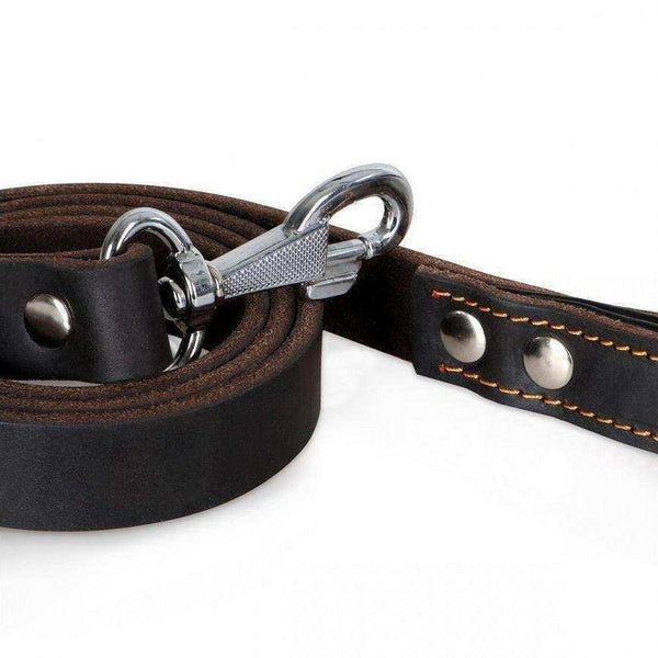 Latigo Leather Dog Leash - Handmade & Riveted - PK9 Gear