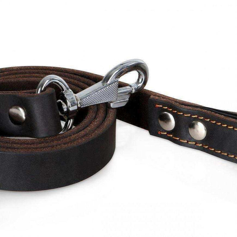 Latigo Leather Dog Leash - Handmade & Riveted - PK9 Gear