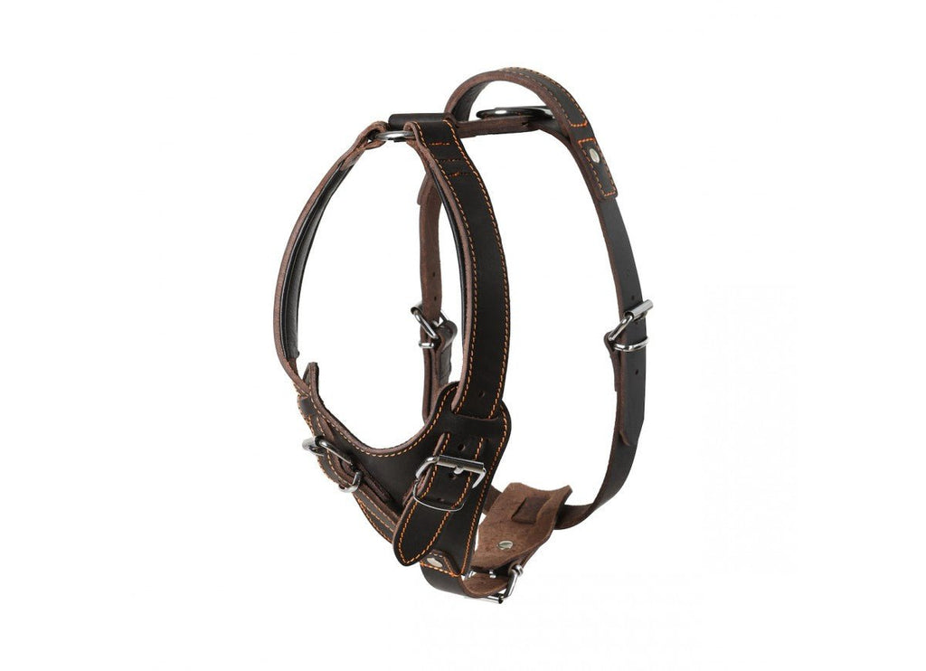 Leather Dog Harness - Handmade With Latigo Leather - PK9 Gear