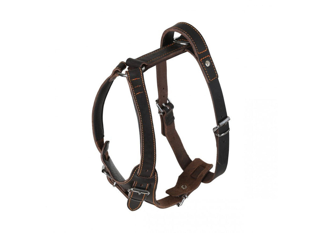 Leather Dog Harness - Handmade With Latigo Leather - PK9 Gear