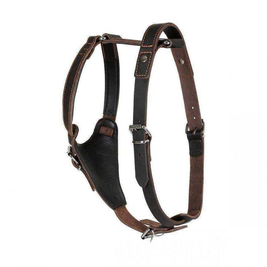 Leather Dog Harness - Handmade With Latigo Leather - PK9 Gear