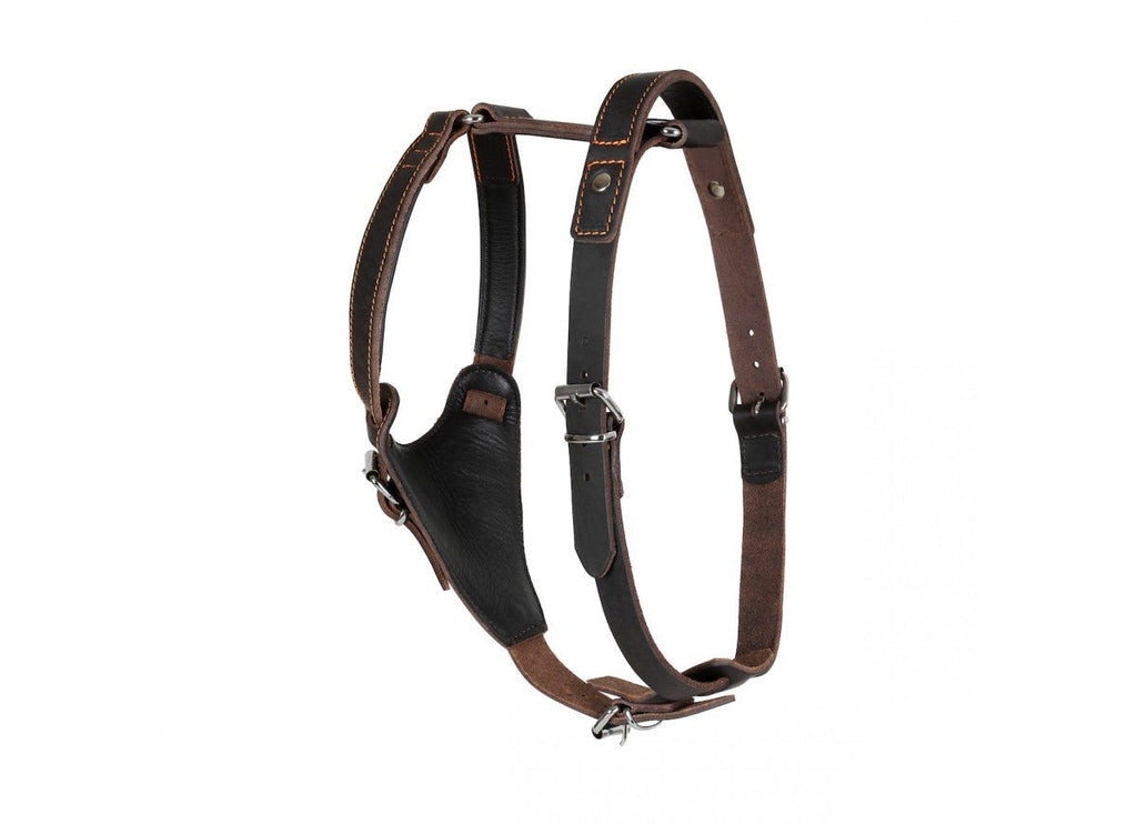 Leather Dog Harness - Handmade With Latigo Leather - PK9 Gear