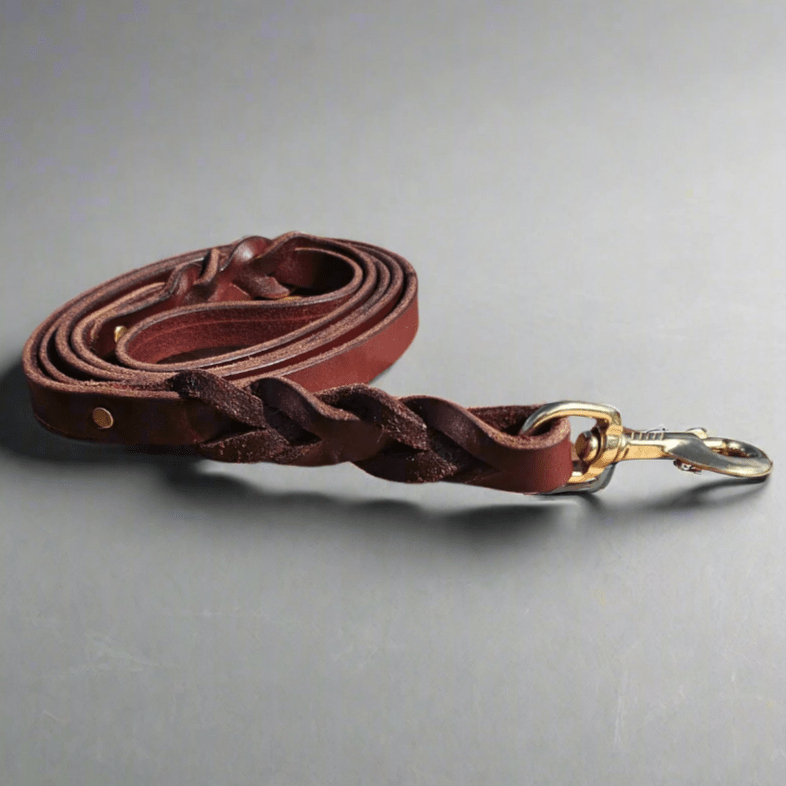 Limited Edition 6ft Braided Latigo Leather Dog Leash - Strength Meets Style - PK9 Gear