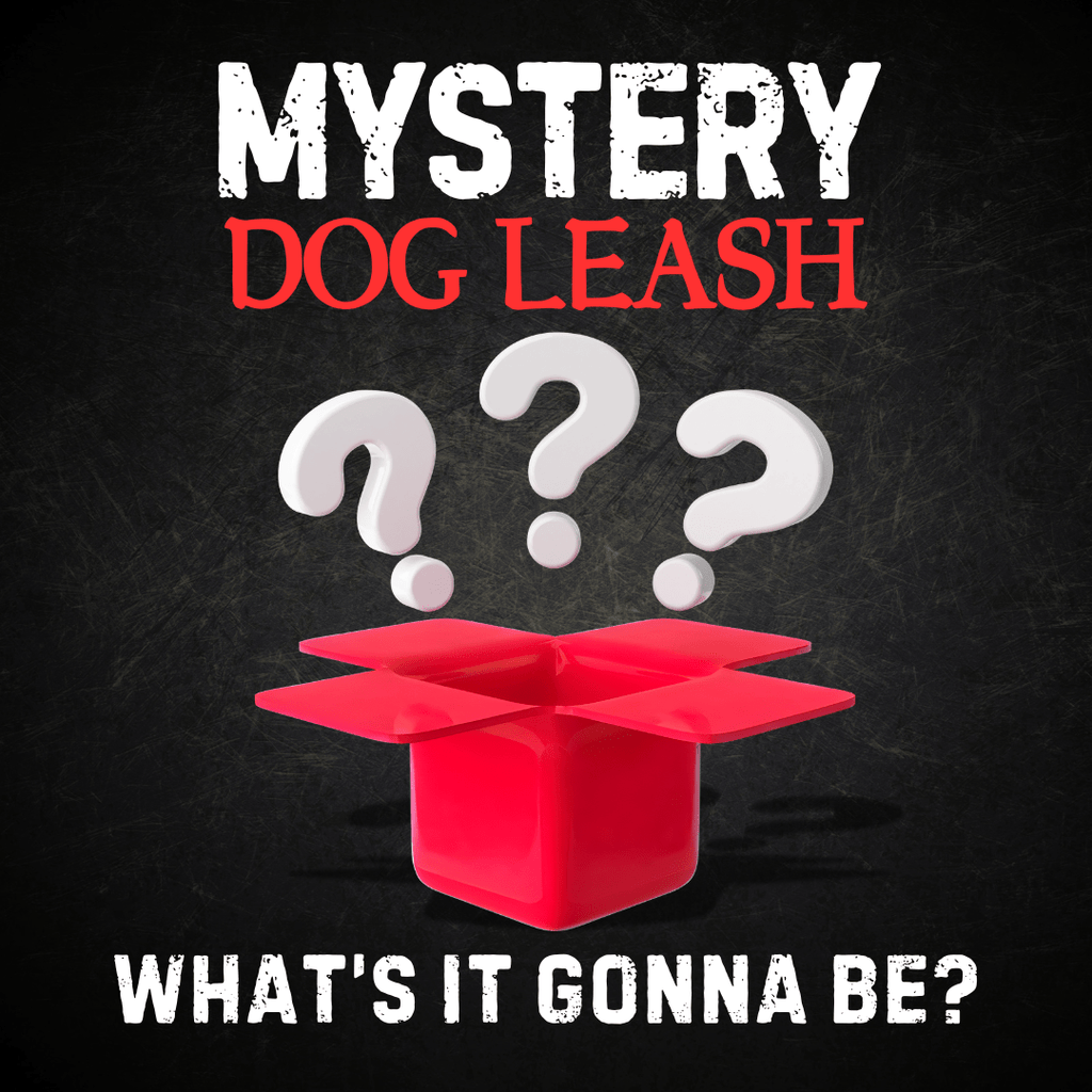 Mystery Leash – Functionally Perfect, With a Dash of Character! - PK9 Gear