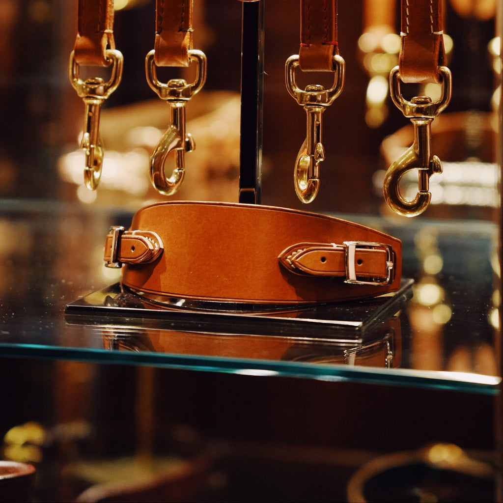 Set of leather dog collars and leads on a stand with a blurred background