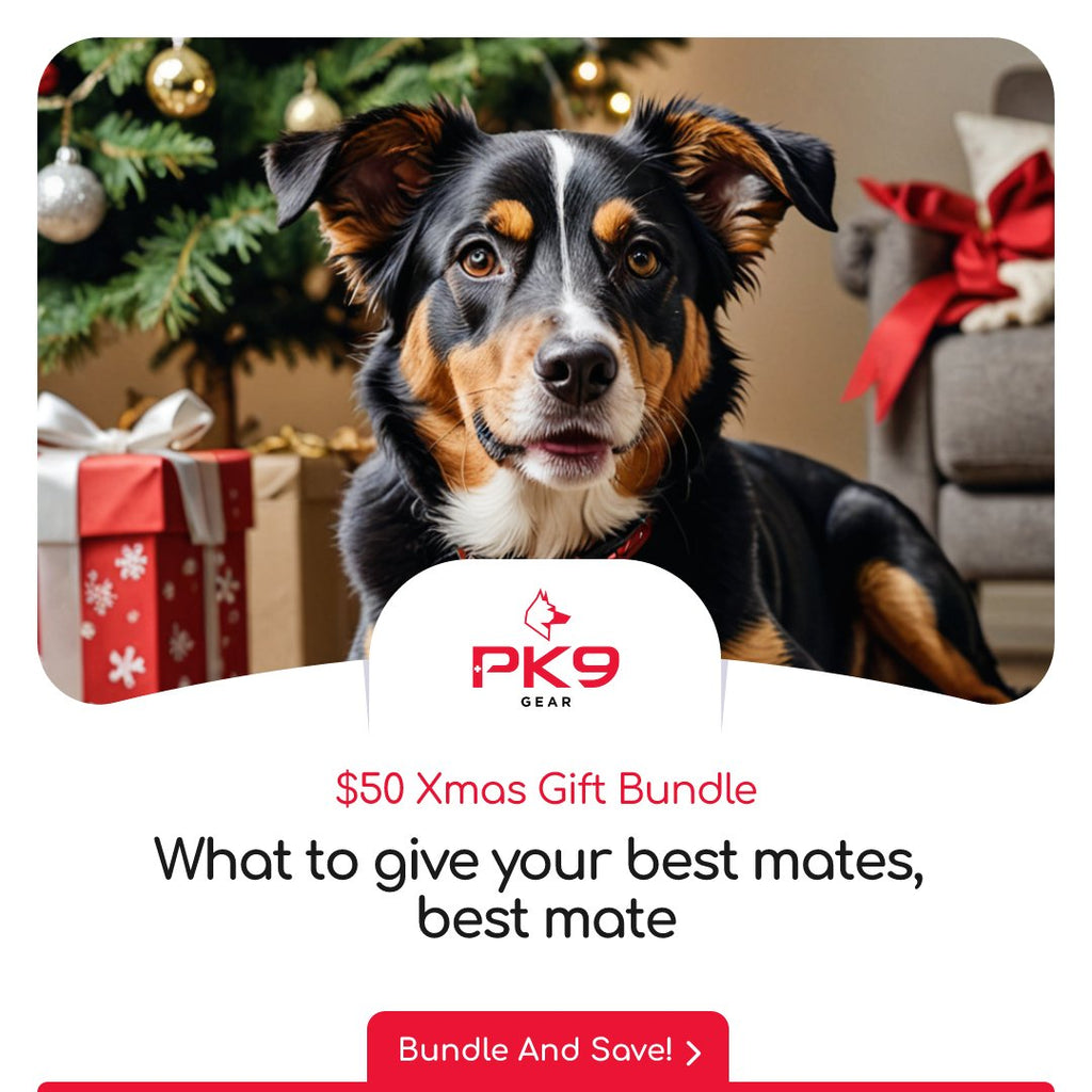 PK9 $50 Christmas Gift Bundle - PK9 Gear