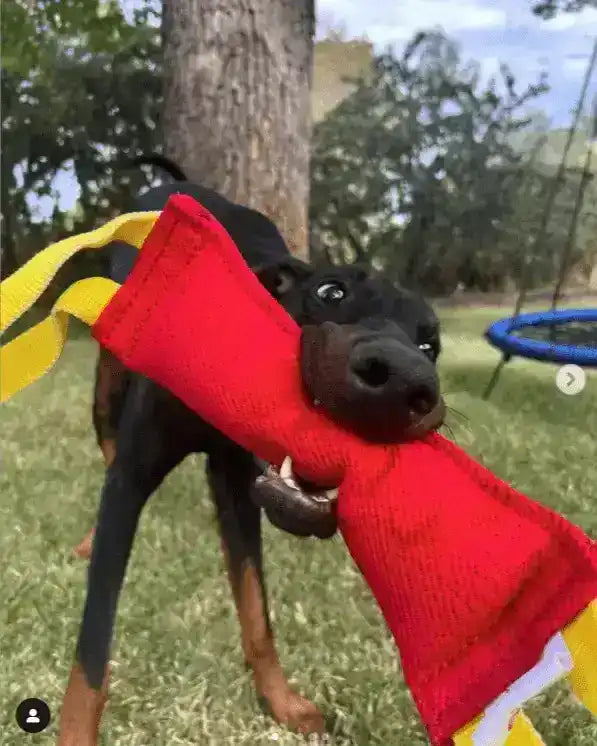 PK9 French Linen Tug Toy – Interactive Bite & Retrieve Training Toy - PK9 Gear