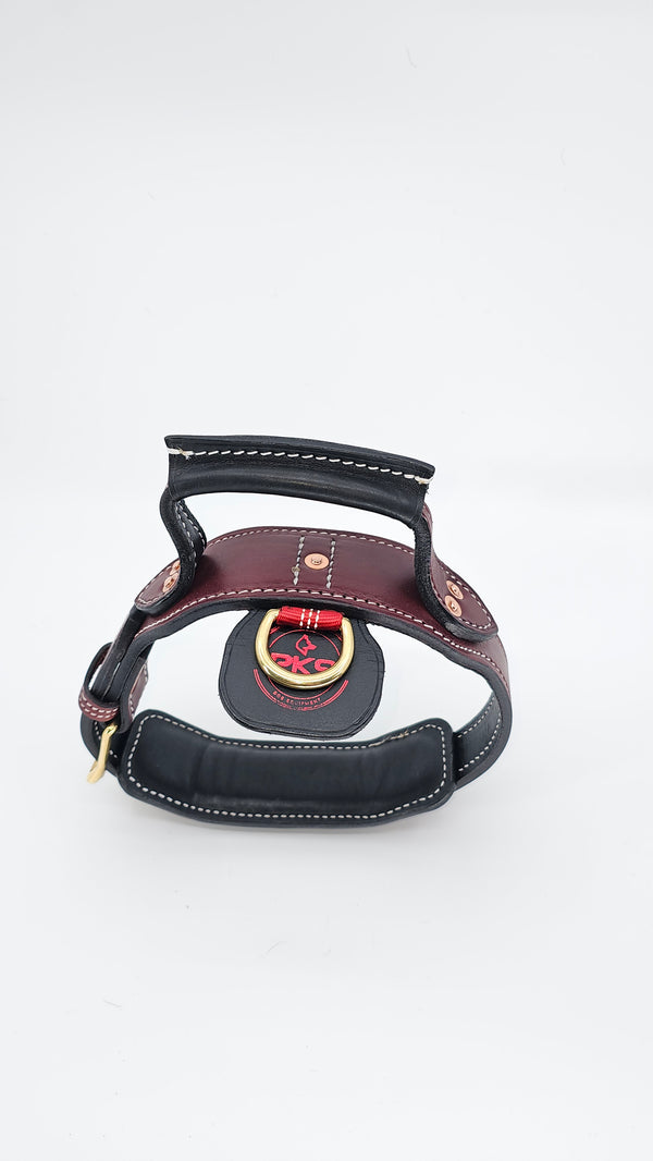 Front view of PK9 tactical leather dog collar with burgundy-brown leather, black handle and gold-toned hardware