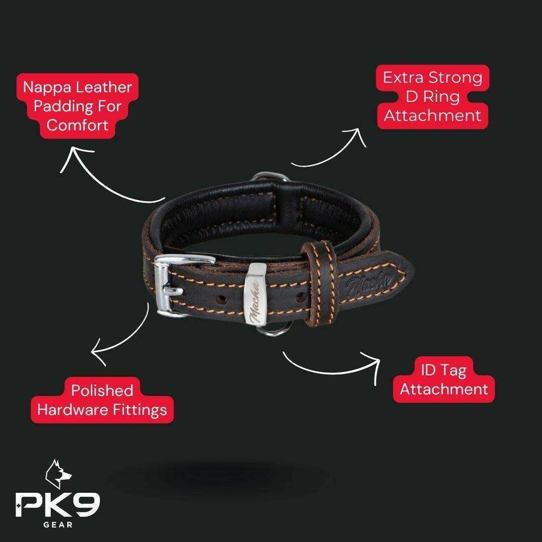 Premium Latigo Leather Dog Collar - PK9 Gear