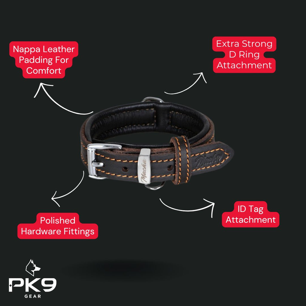 Premium Latigo Leather Dog Collar - PK9 Gear