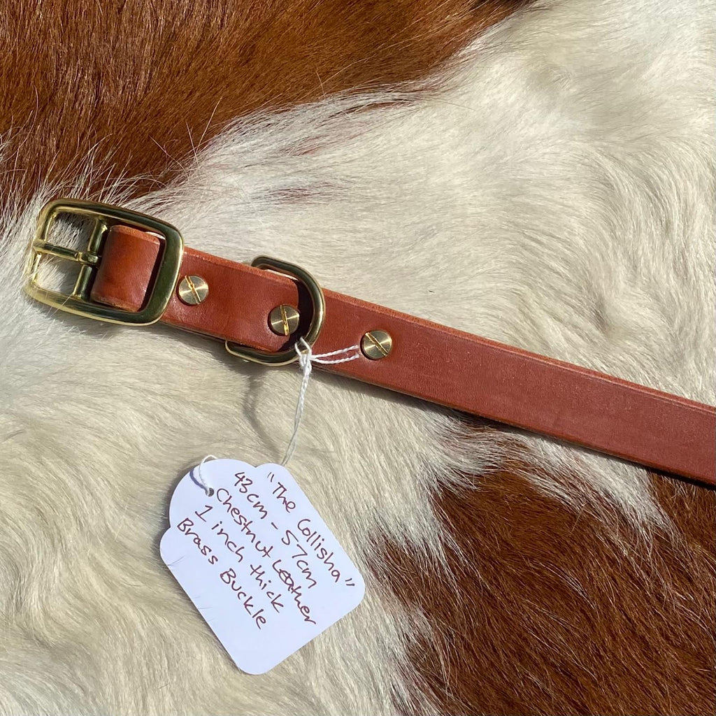 The Collisha - Chestnut Leather Collar - PK9 Gear