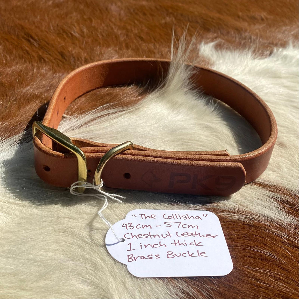 The Collisha - Chestnut Leather Collar - PK9 Gear