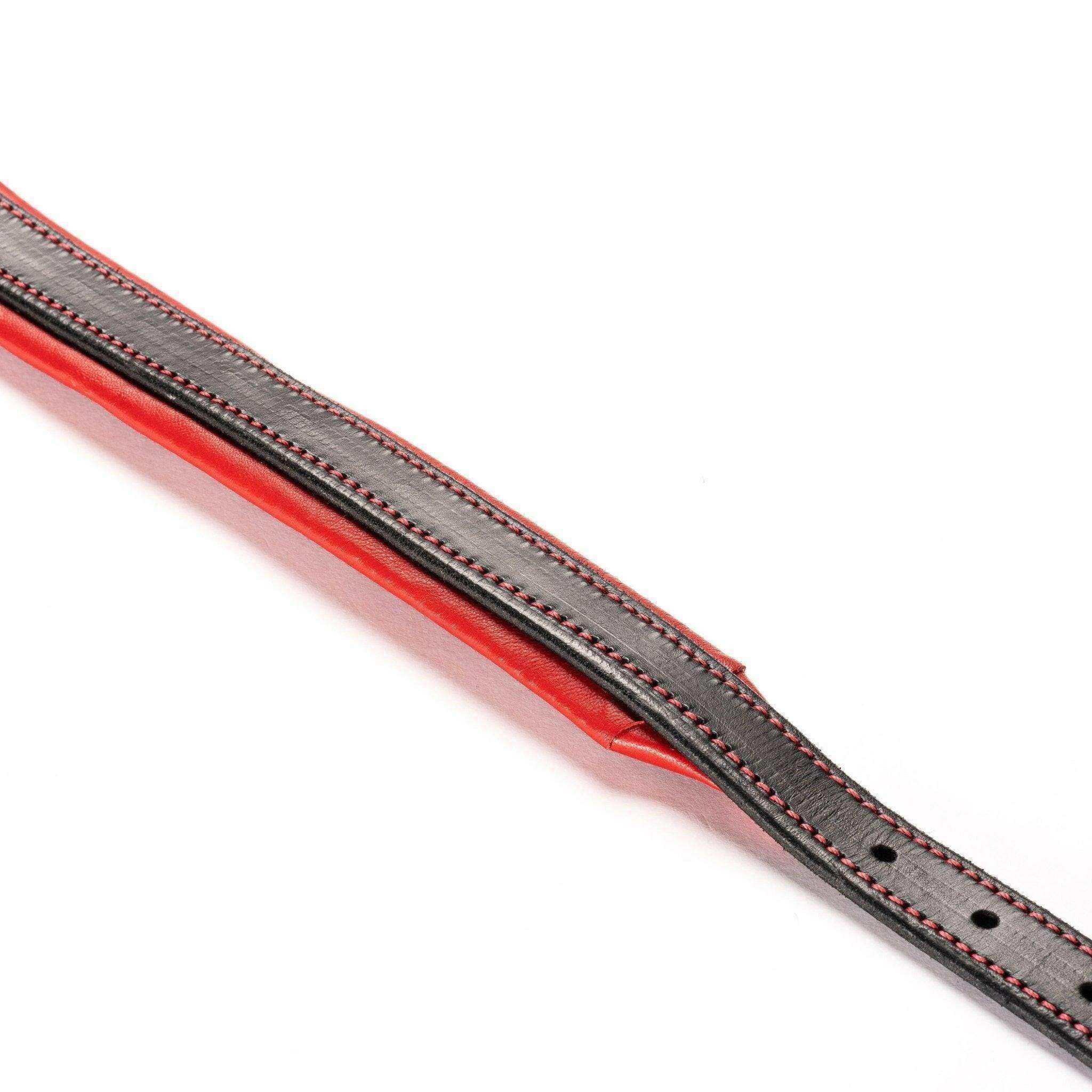 The Inferno Leather Dog Collar - PK9 Gear