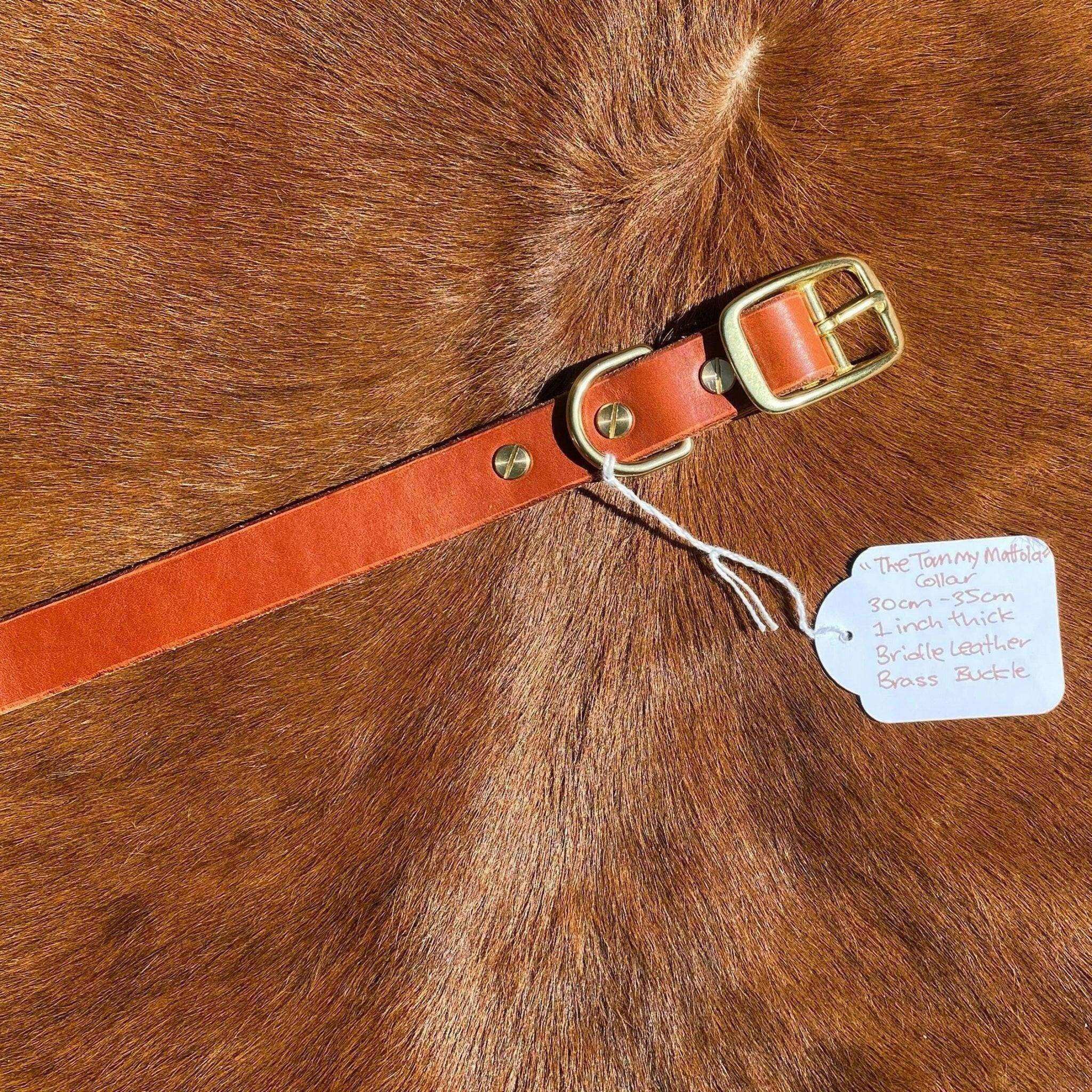 "The Tommy Mattola" - PK9 Gear