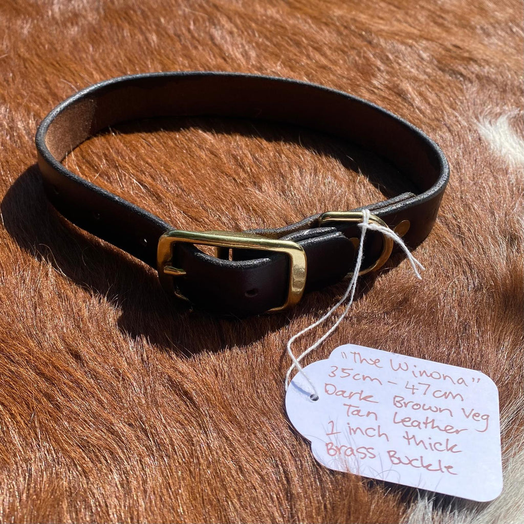 'The Winona" Dark Brown Leather Collar - PK9 Gear