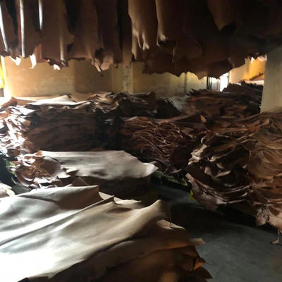 The leather is dried and set for final grading