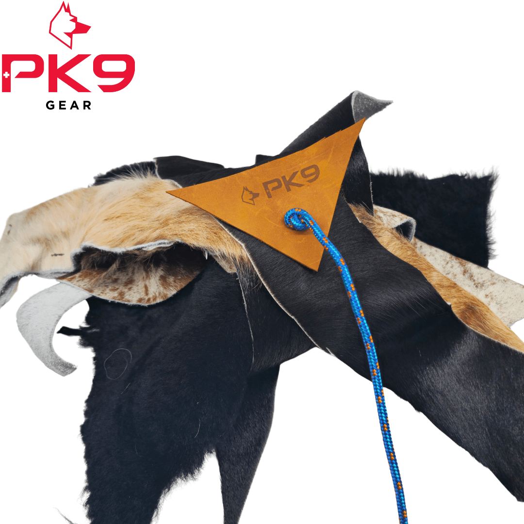 Dog flirt pole australia hot sale