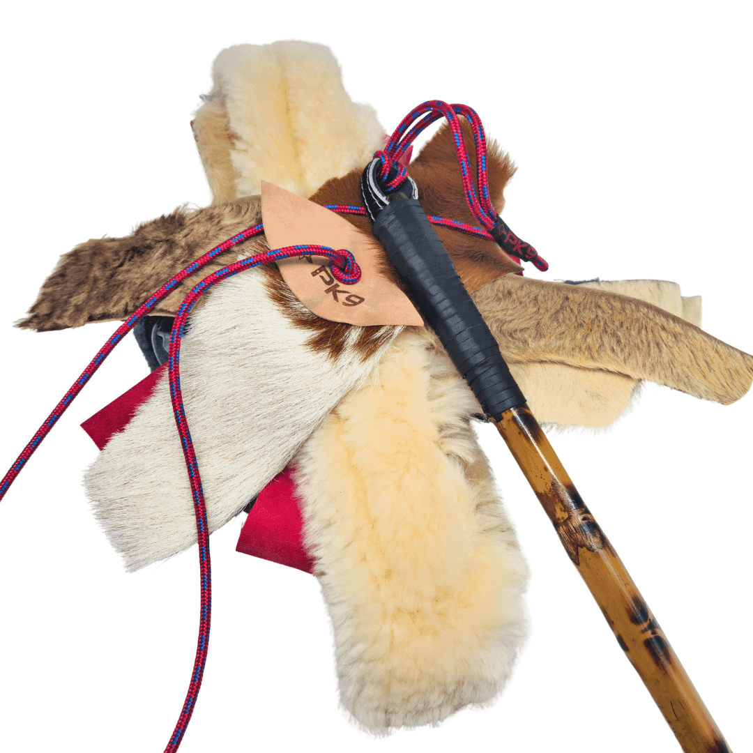 Dog flirt pole shop australia